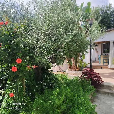 Casa Relax בית נופש *